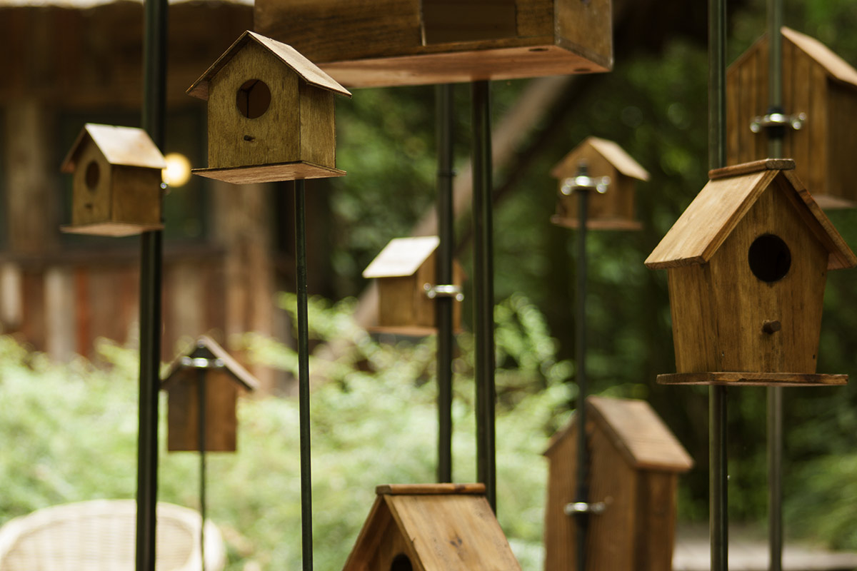 Rêves d’oiseaux, Installation Sonore de Christian Delécluse à la Fondation GoodPlanet aux Jardins Ouverts.