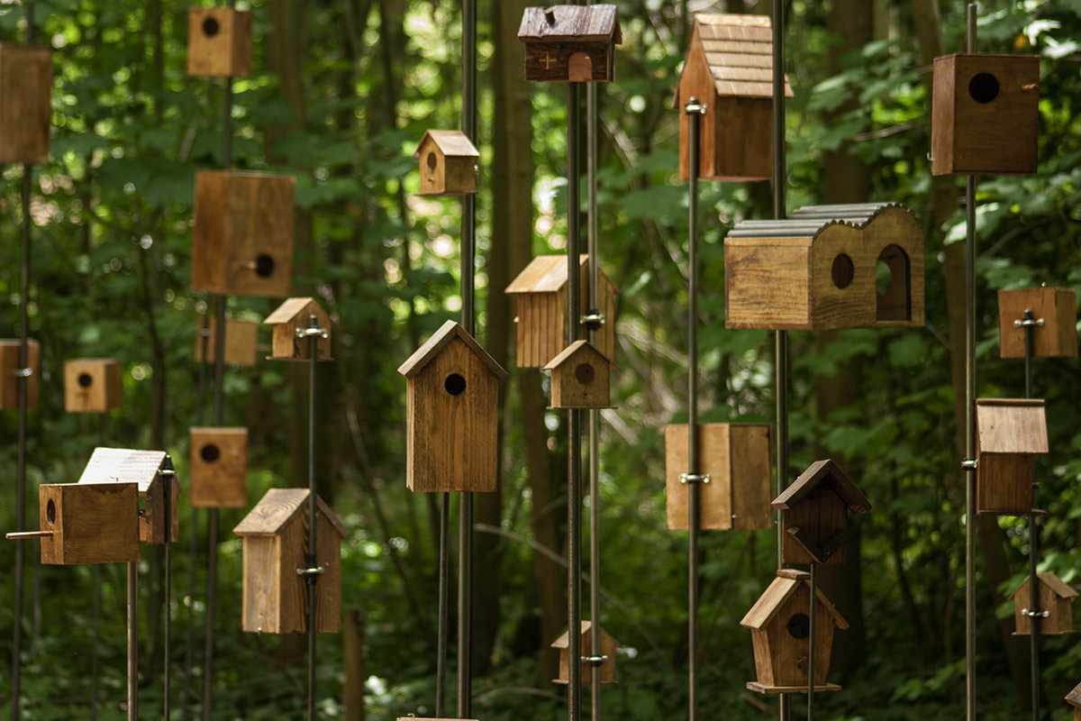 Rêves d’oiseaux, Installation Sonore de Christian Delécluse à la Fondation GoodPlanet aux Jardins Ouverts.