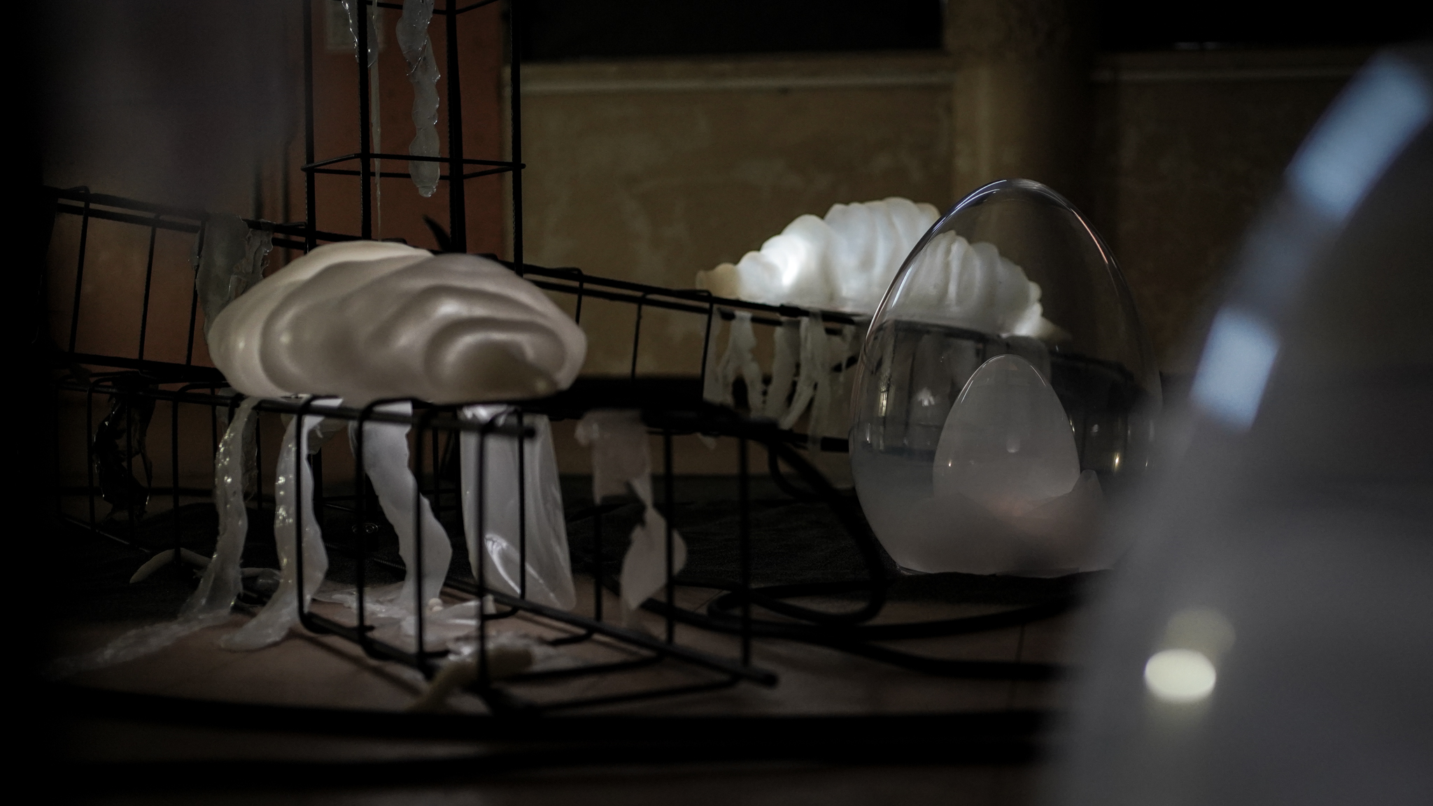 FLUID TERRITORY GOLNAZ BEHROUZNIA