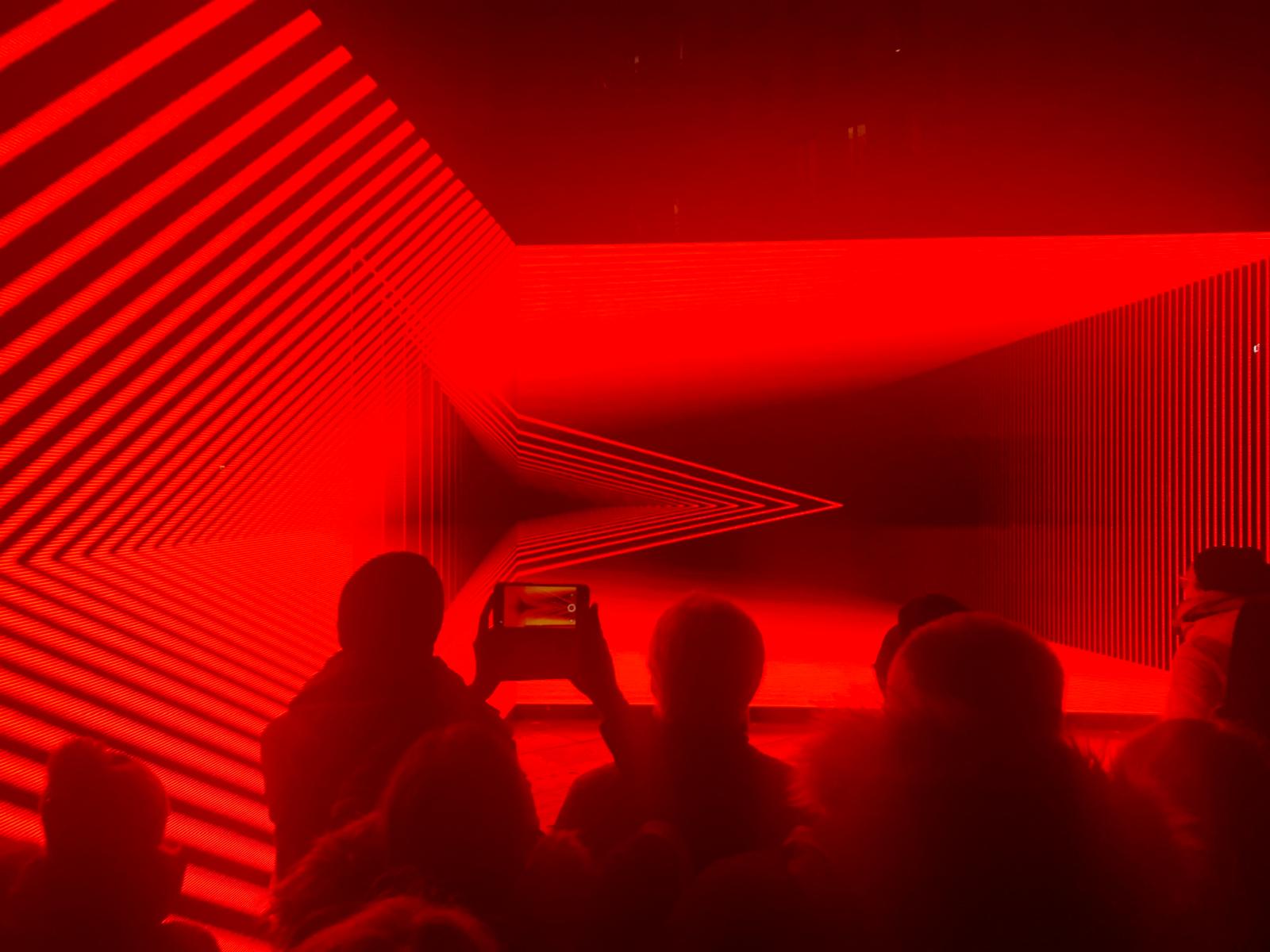 Onion Skin Olivier Ratsi